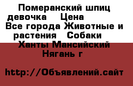 Померанский шпиц девочка  › Цена ­ 50 000 - Все города Животные и растения » Собаки   . Ханты-Мансийский,Нягань г.